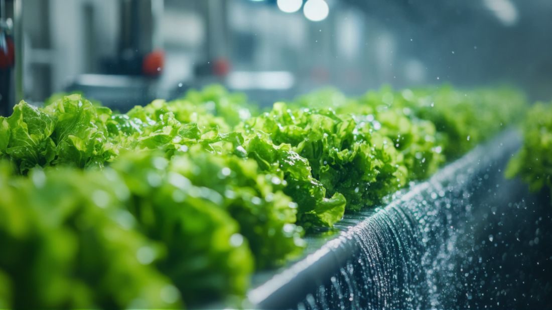 Convergencia clave: Agua segura e innovación en Expo FoodTech 2025